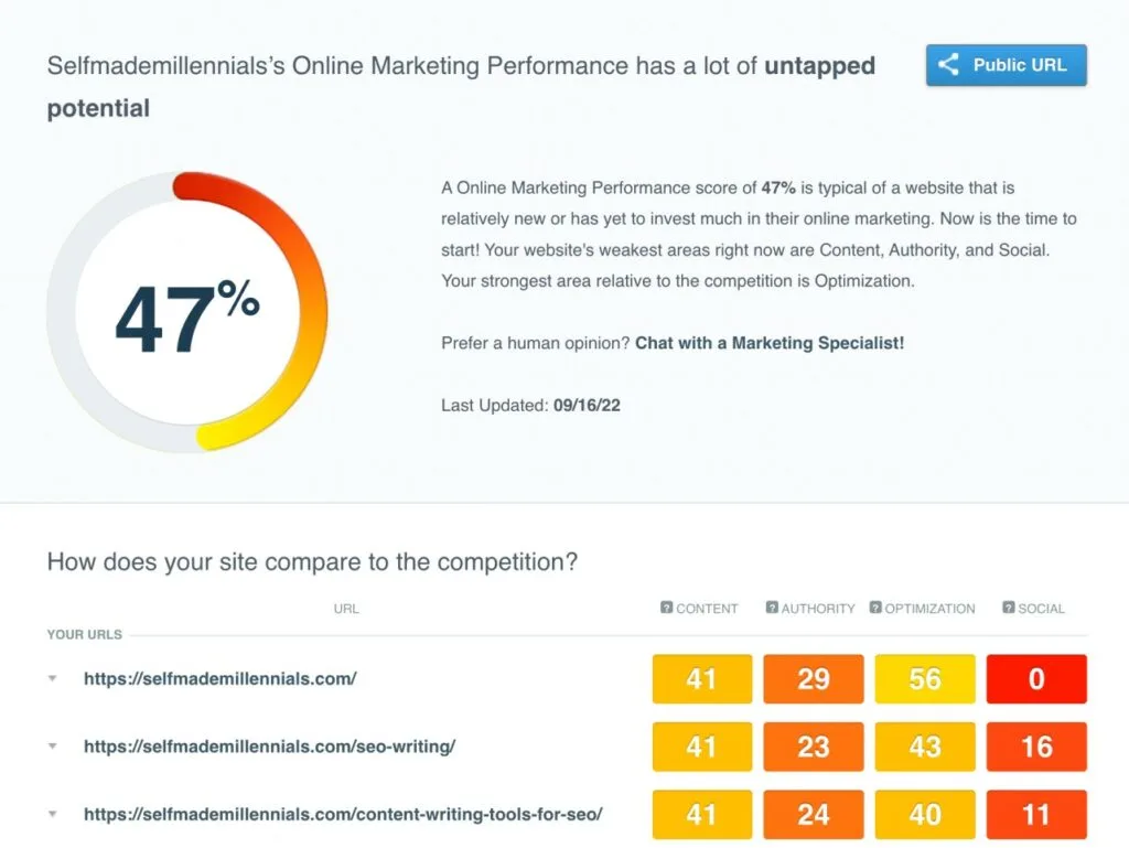 CanIRank online marketing performance report