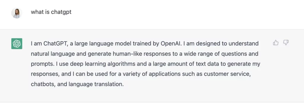 ChatGPT for definitions